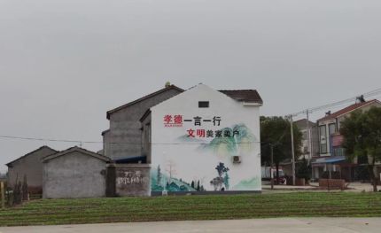 织金新农村墙绘